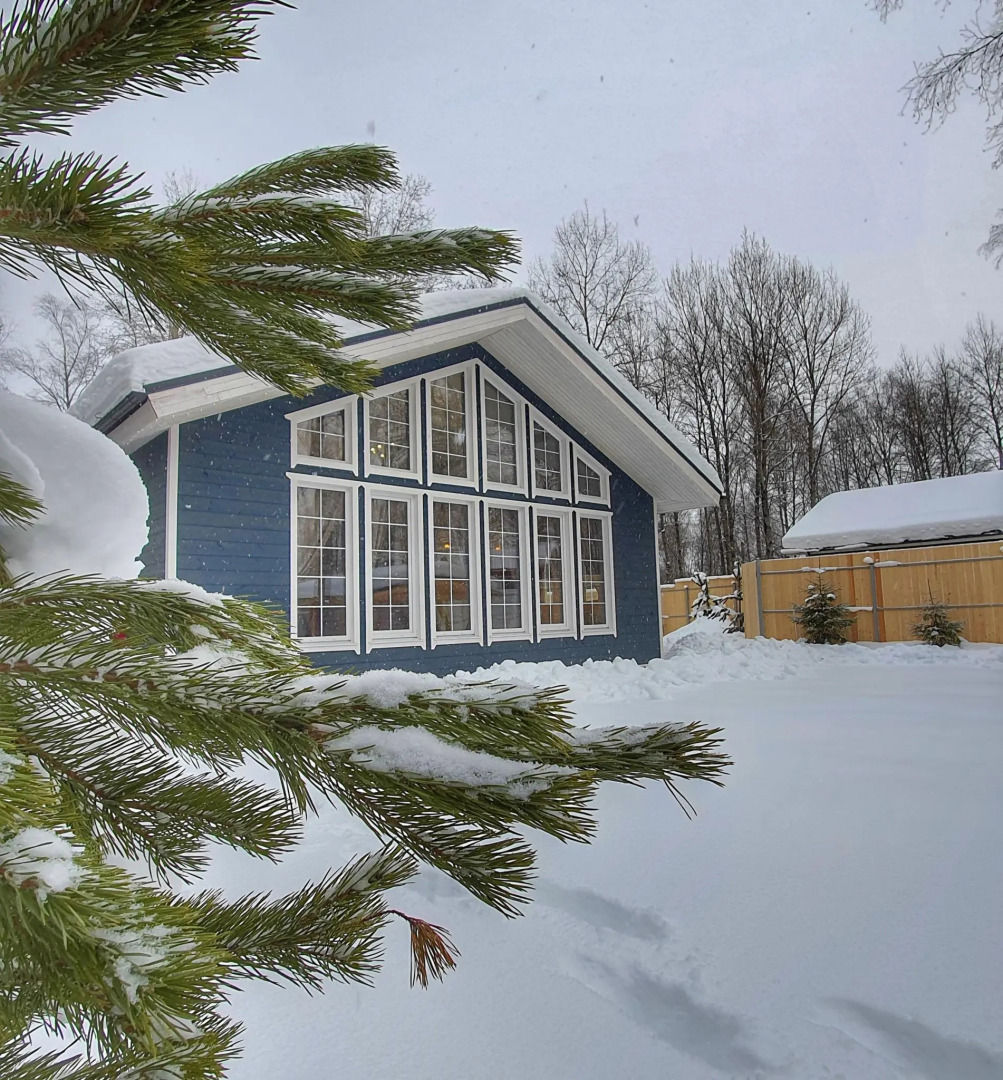 Scandi house (Сканди хаус)