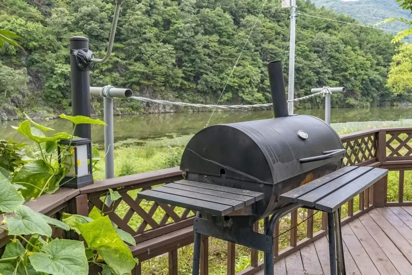 White Pension in Forest