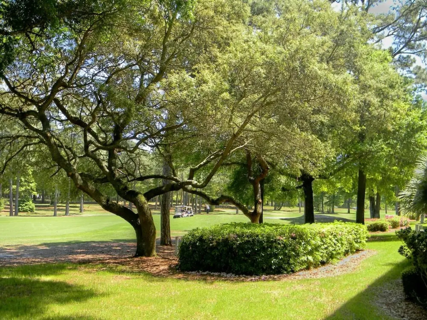 The Champions at Sea Trail Condos by Sloane Realty Vacations