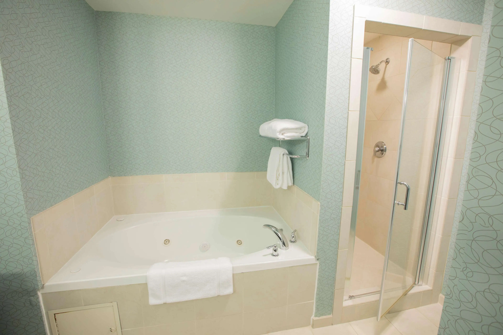 Hilton Garden Inn Atlanta South/McDonough