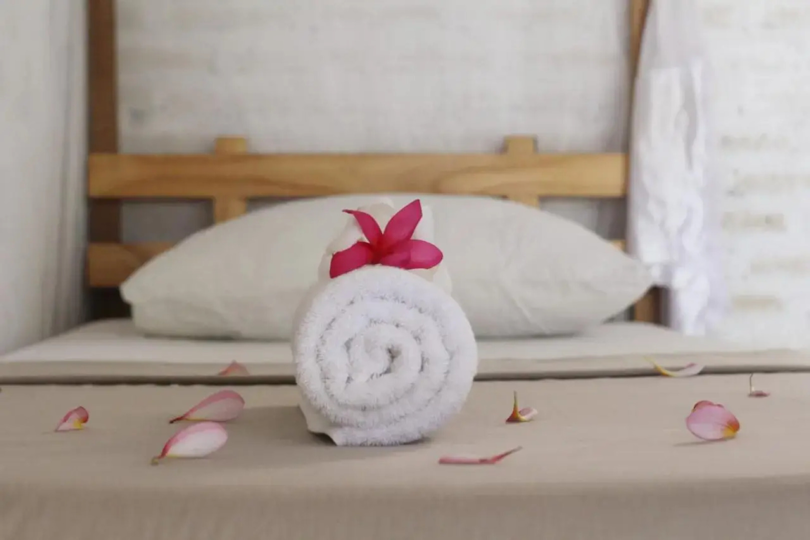 Surfer House-Surf School & Camp