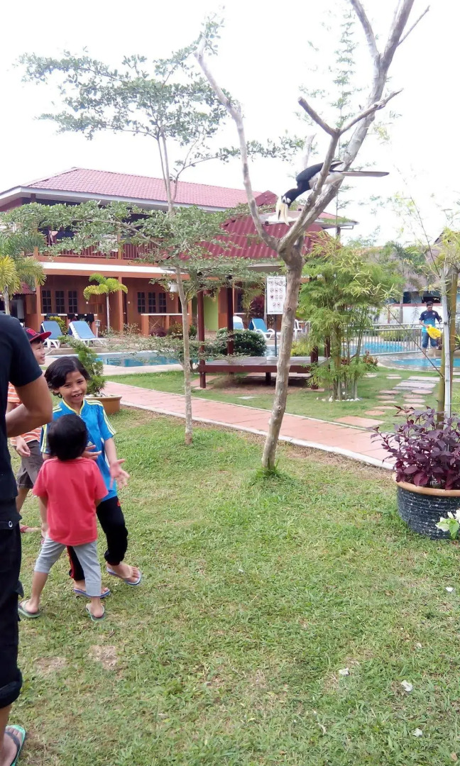 Purnama Beach Resort