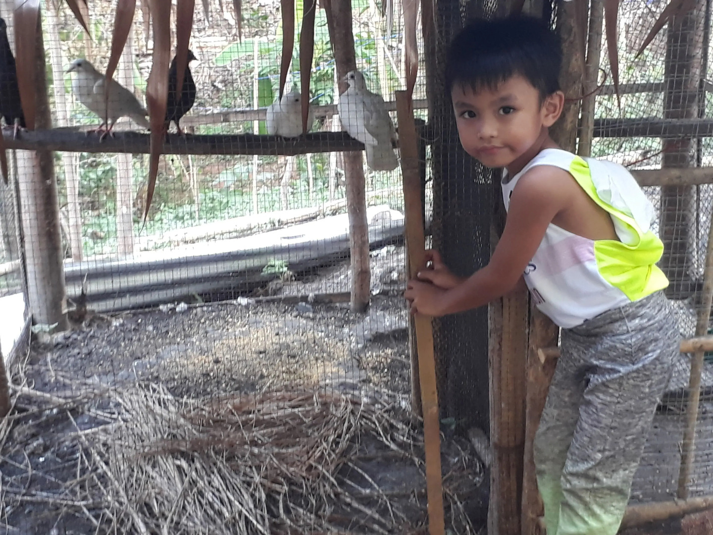 Singalong Nature Camphill Site