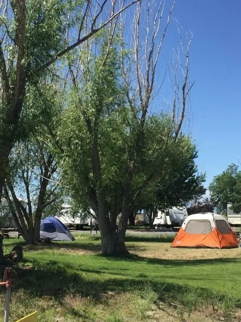 Sunny Springs Resort & Campground