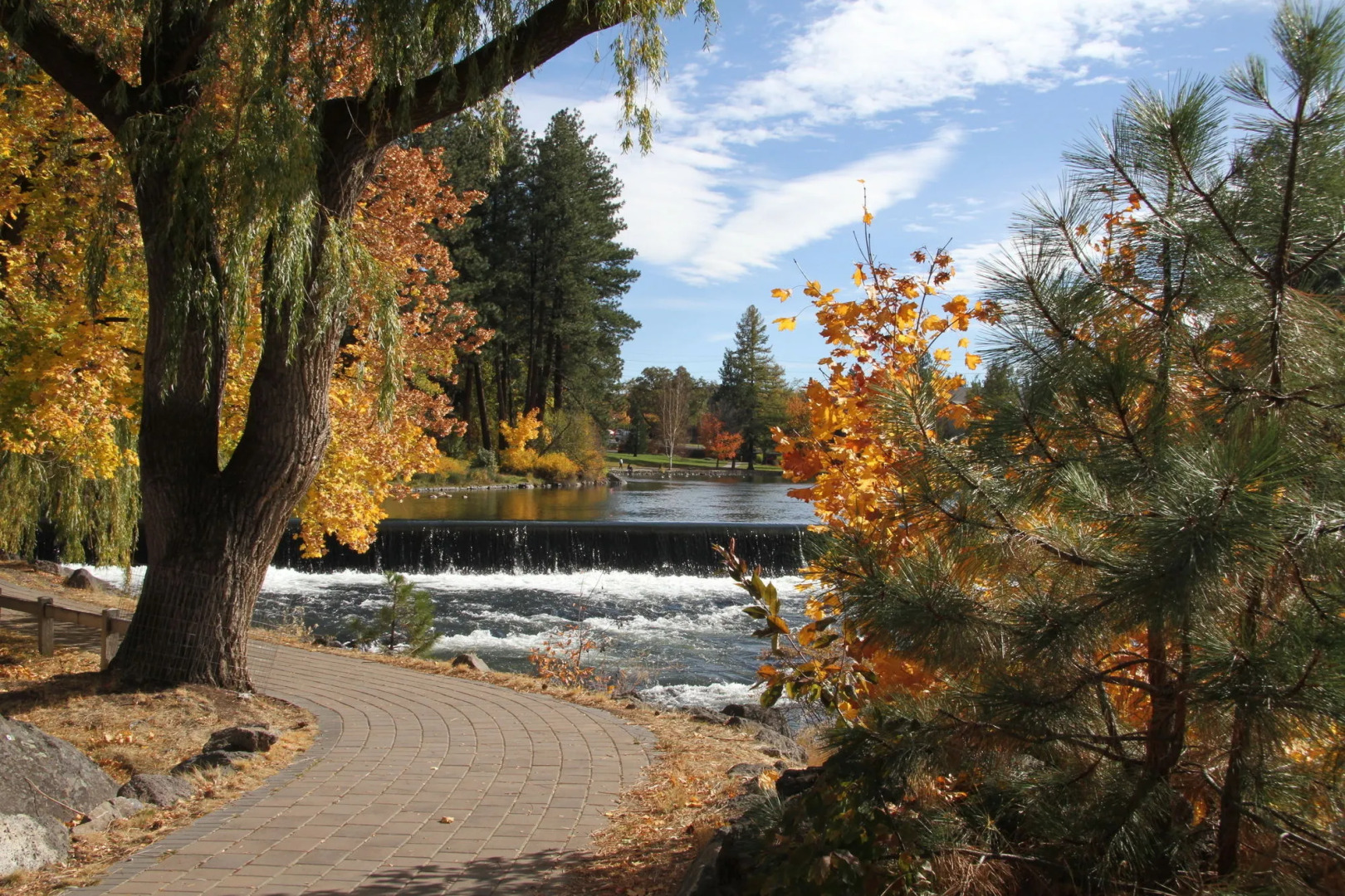 Pioneer Park Rentals