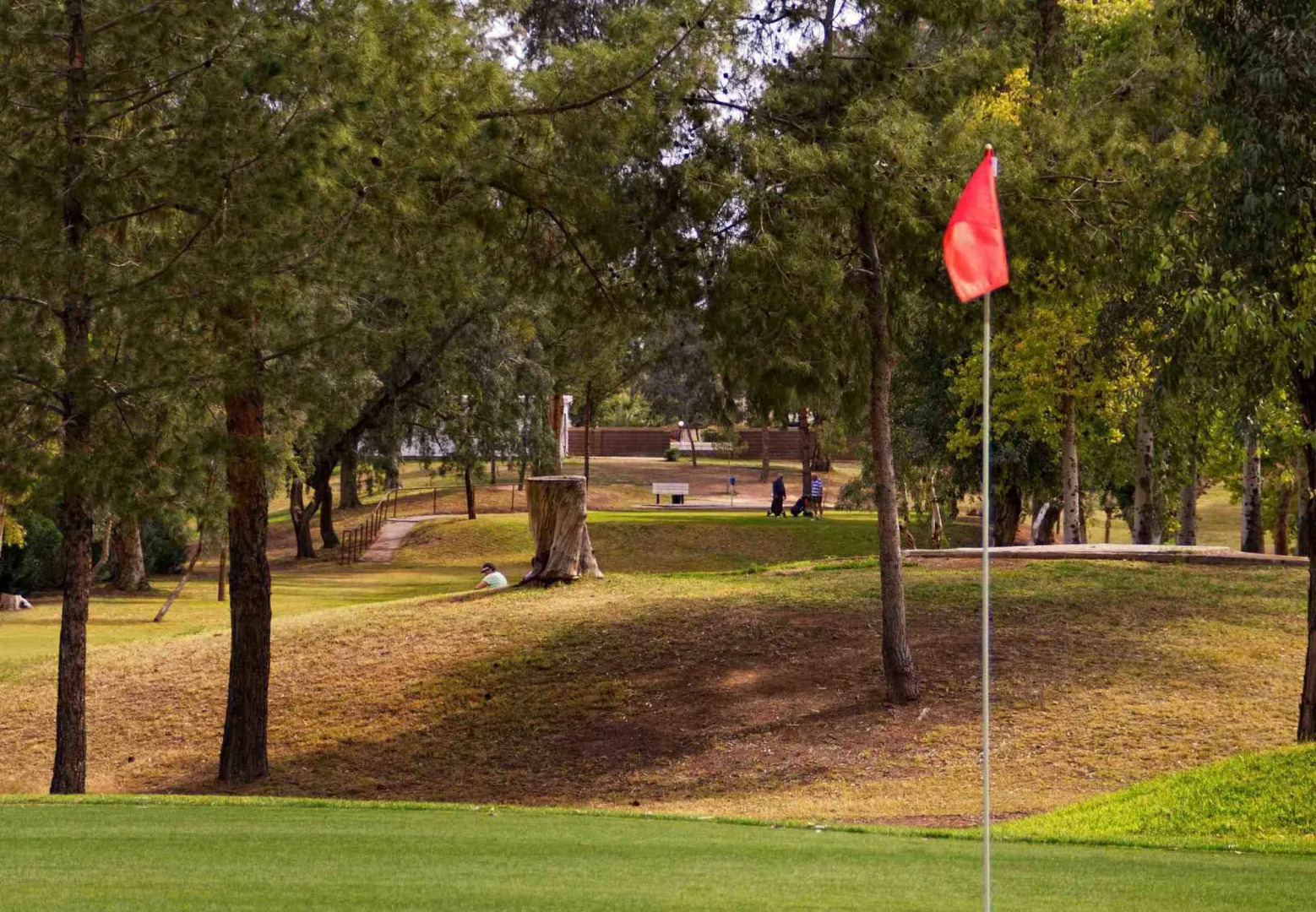 Residence Inn Phoenix Mesa