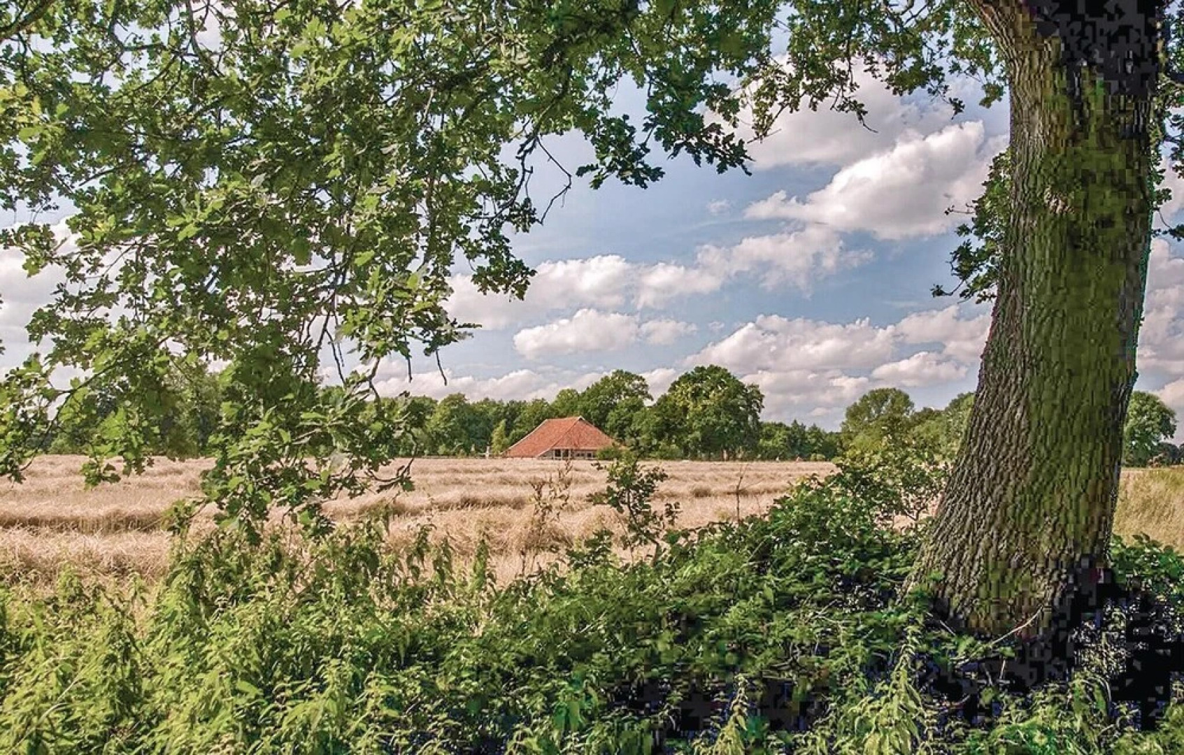 Beautiful Home in Vlagtwedde With 4 Bedrooms, Wifi and Indoor Swimming Pool