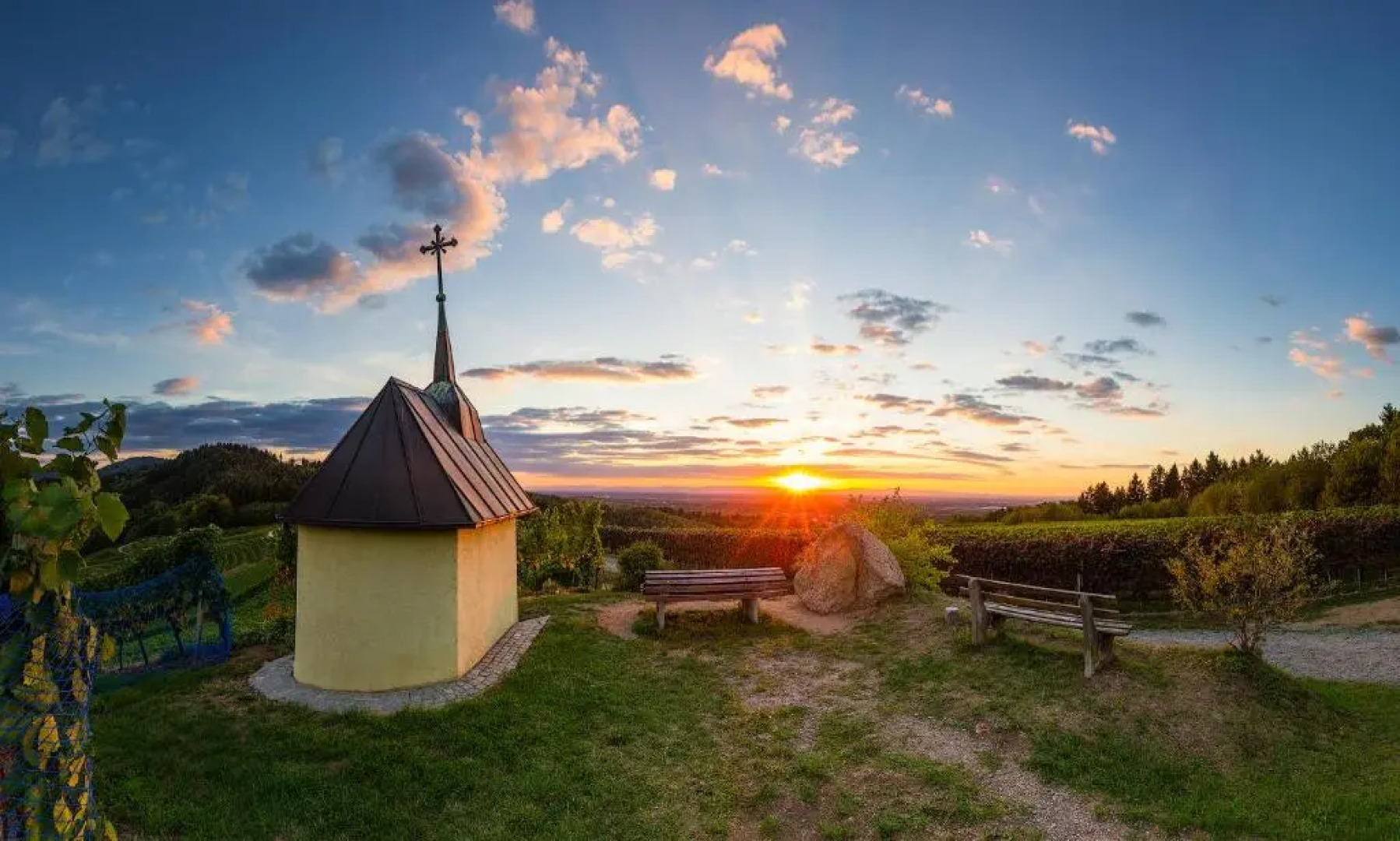 Apartment Kirschblüte