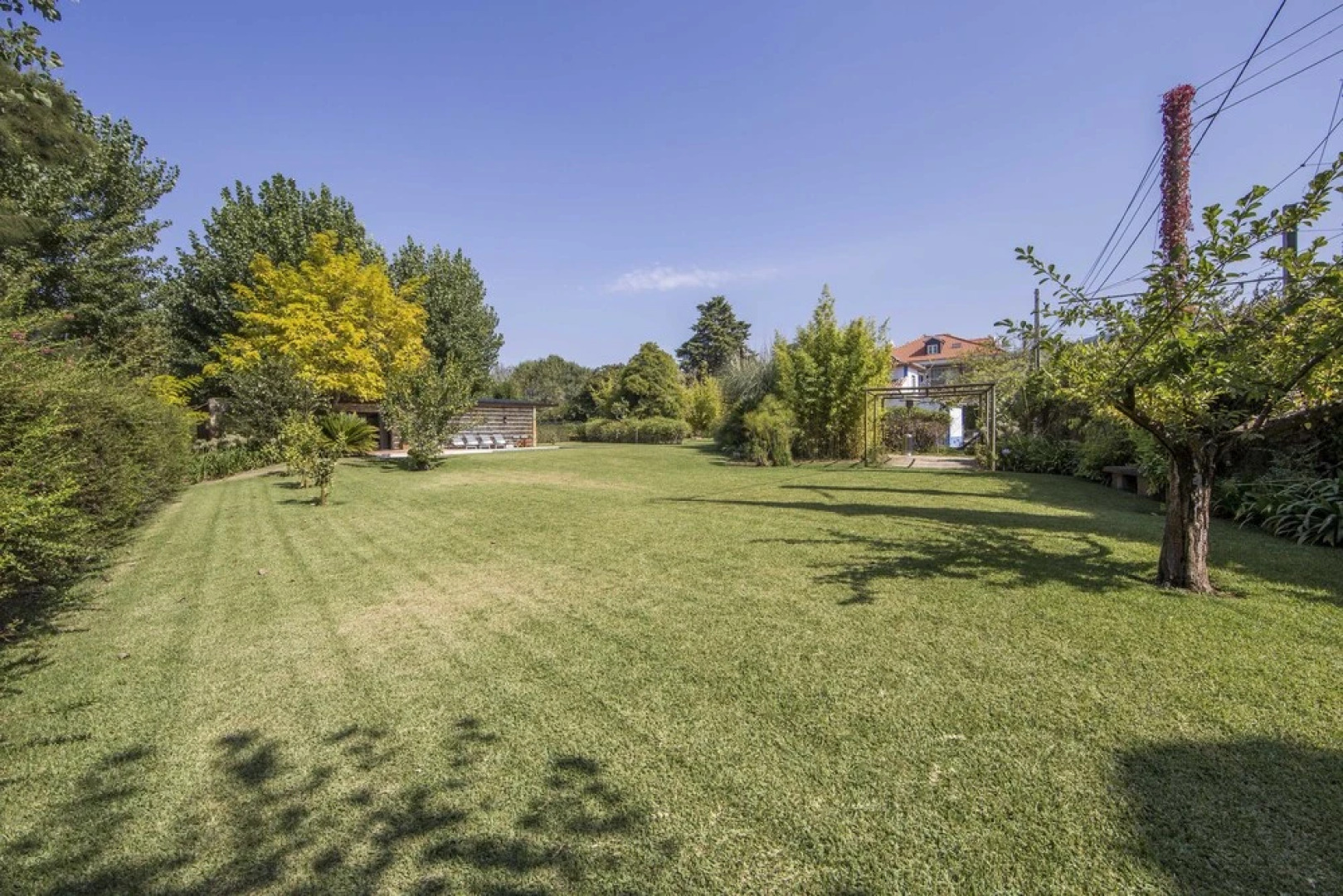 Meet the Artist's Retreat