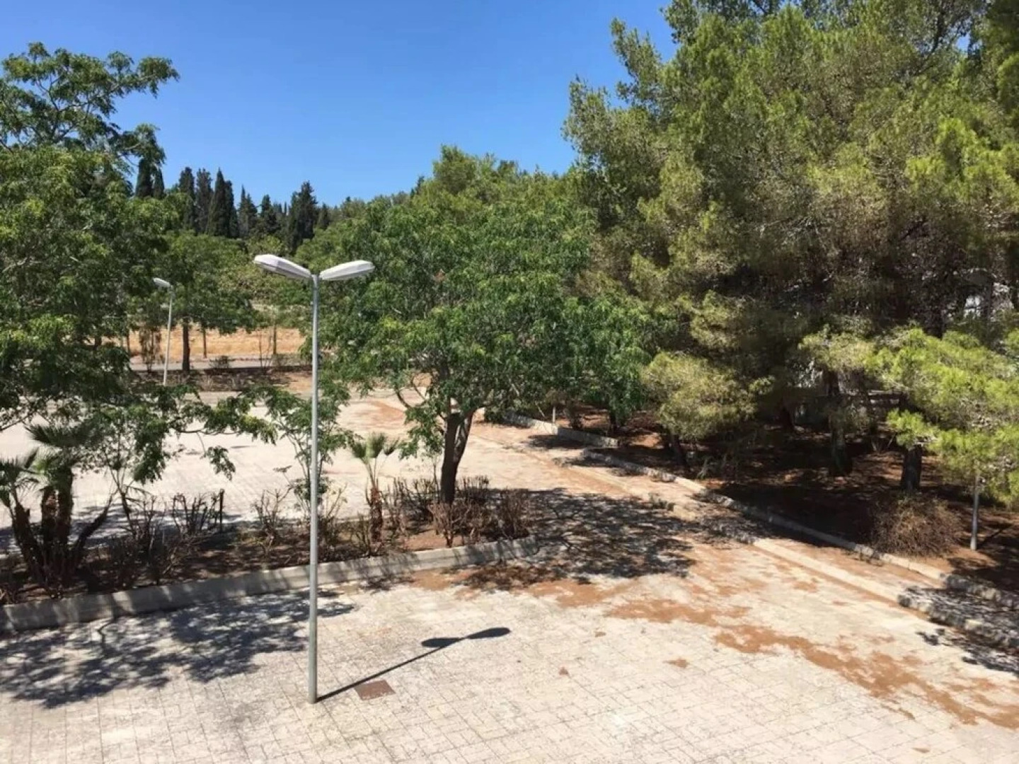 Loft in Natural Park