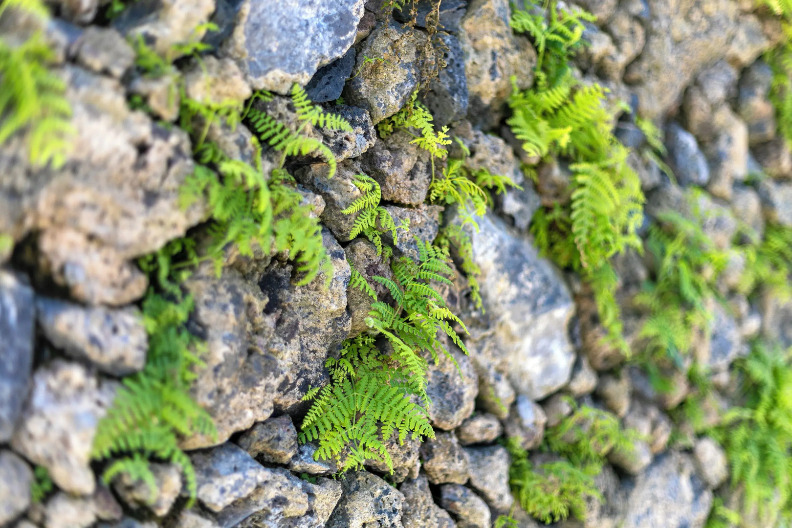 Solar Branco Eco Estate