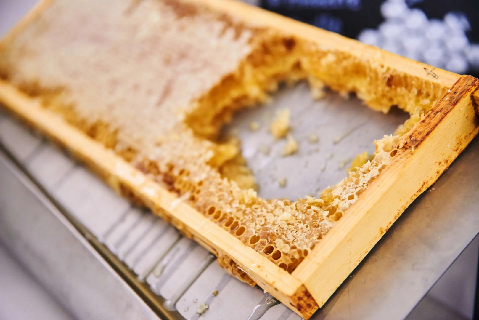 MAXX by Steigenberger Hotel Vienna