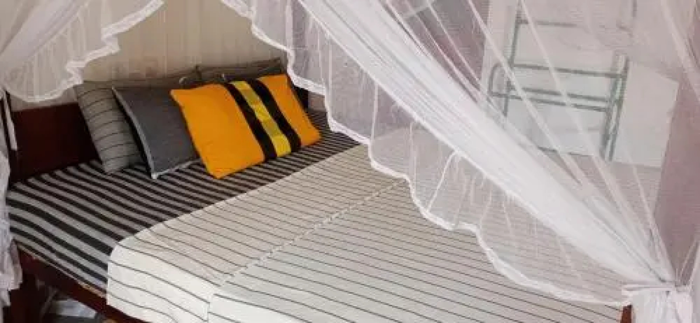 Jungle View apartment