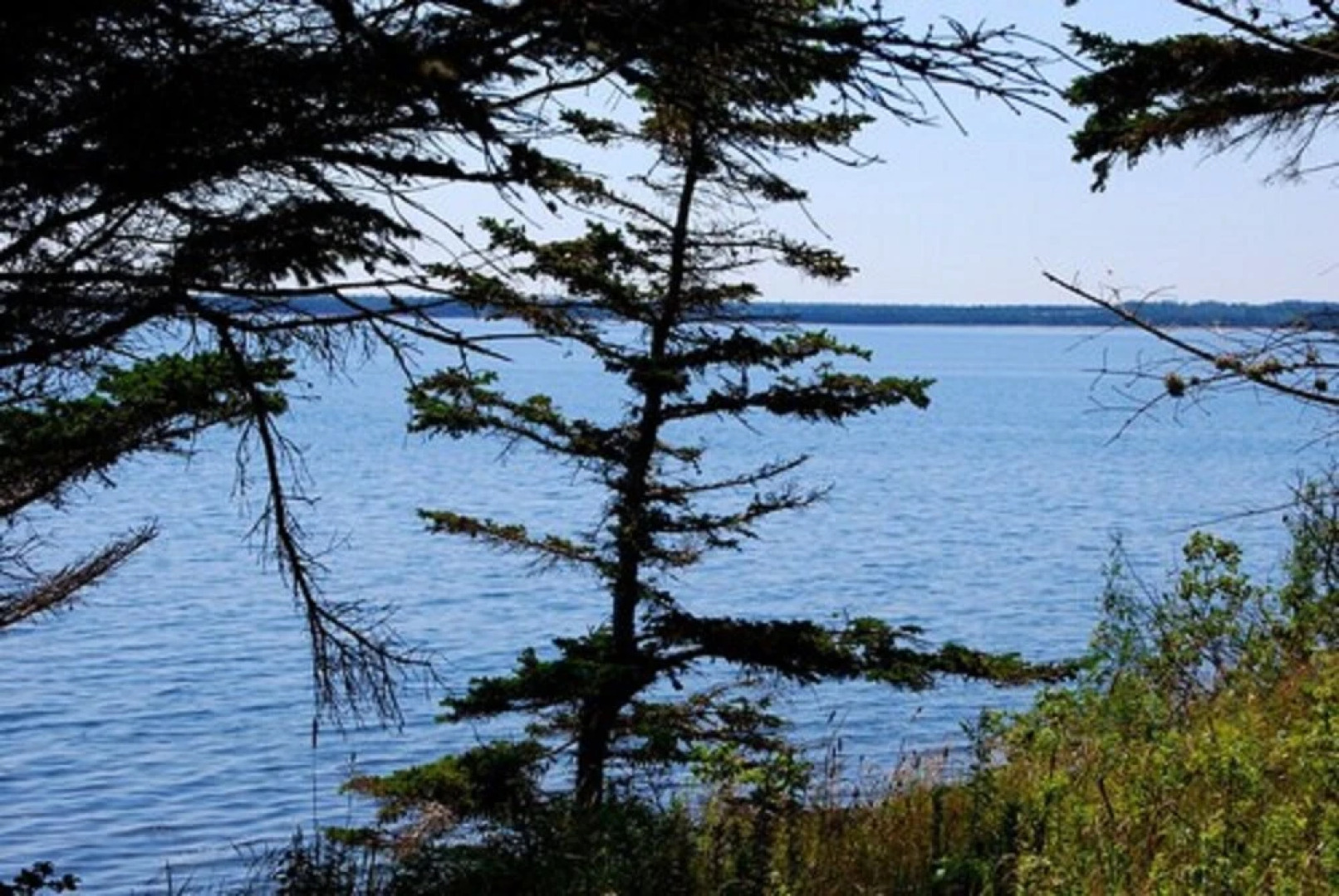 Ned's Landing at Spry Point