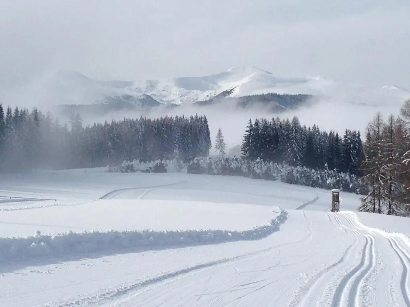 Urlaub im Zirbenland