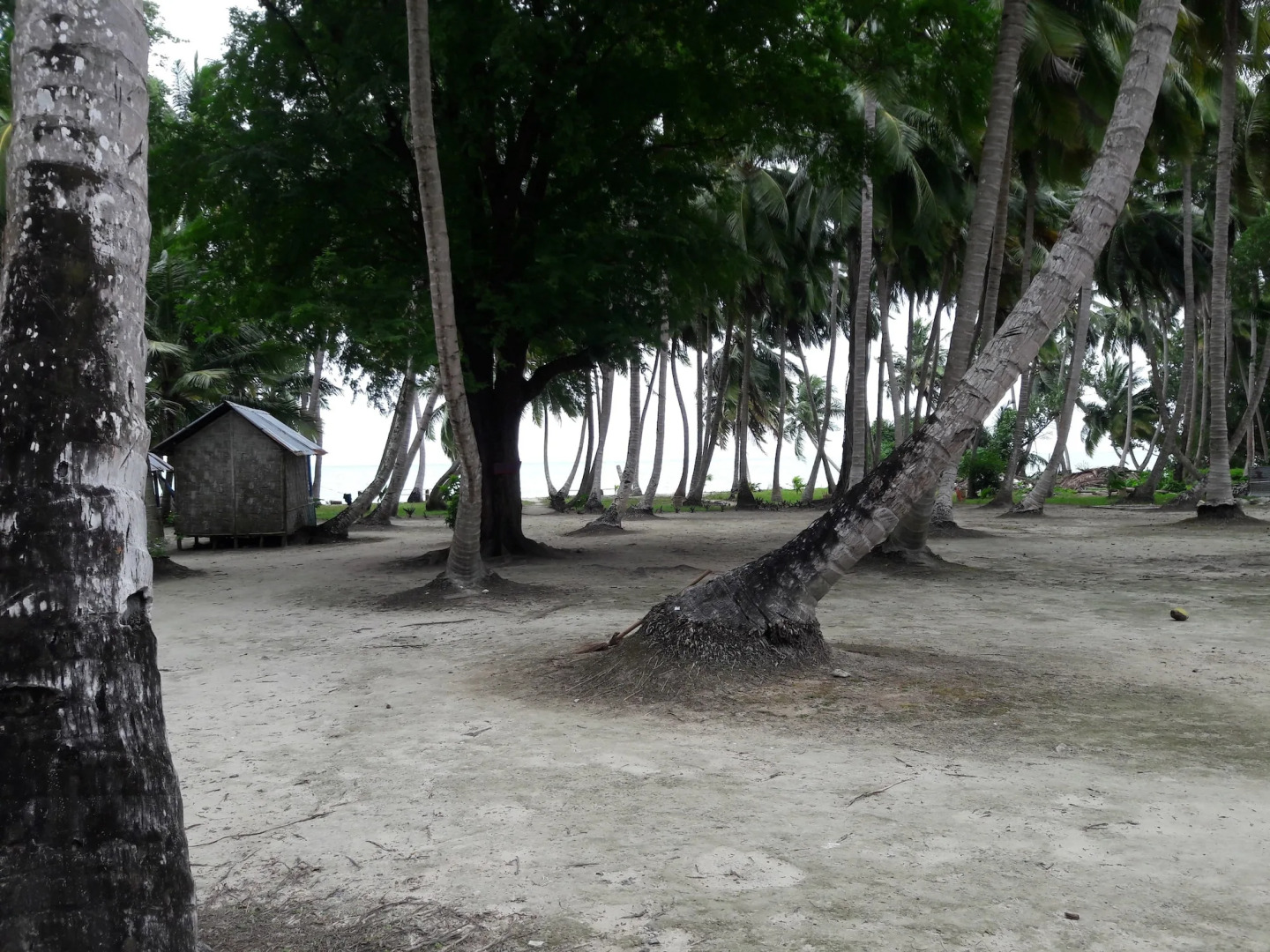 Sunrise Beach Resort