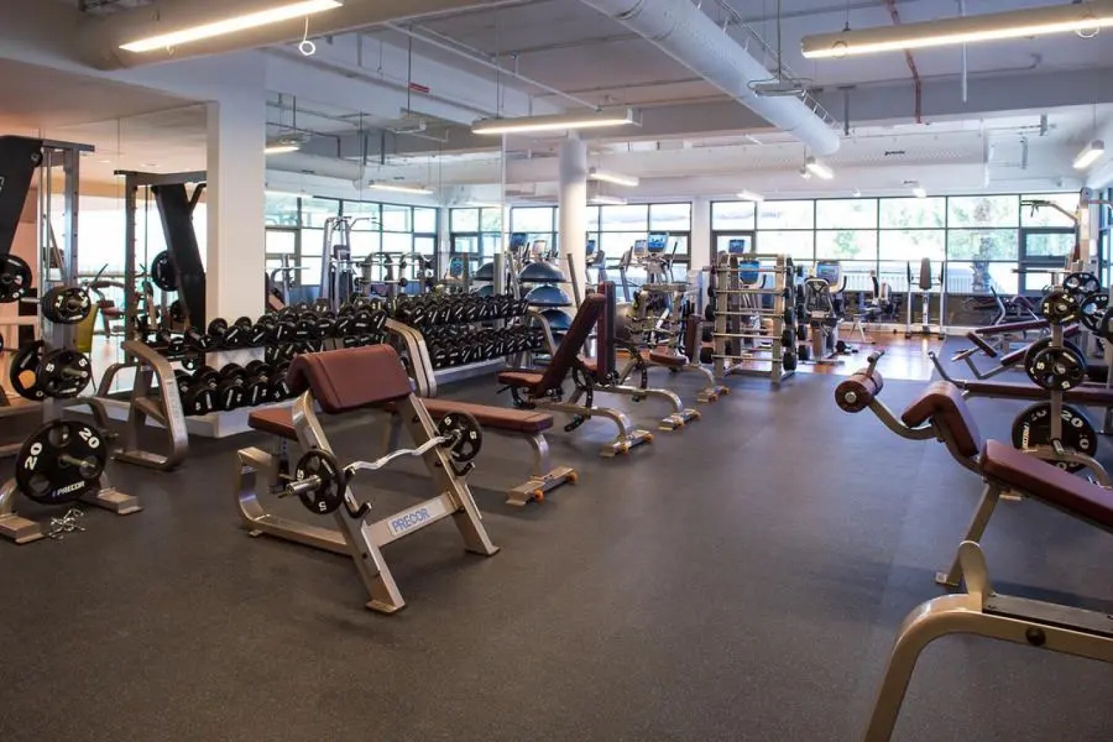 The Creekside Hotel Dubai an Accor Hotel