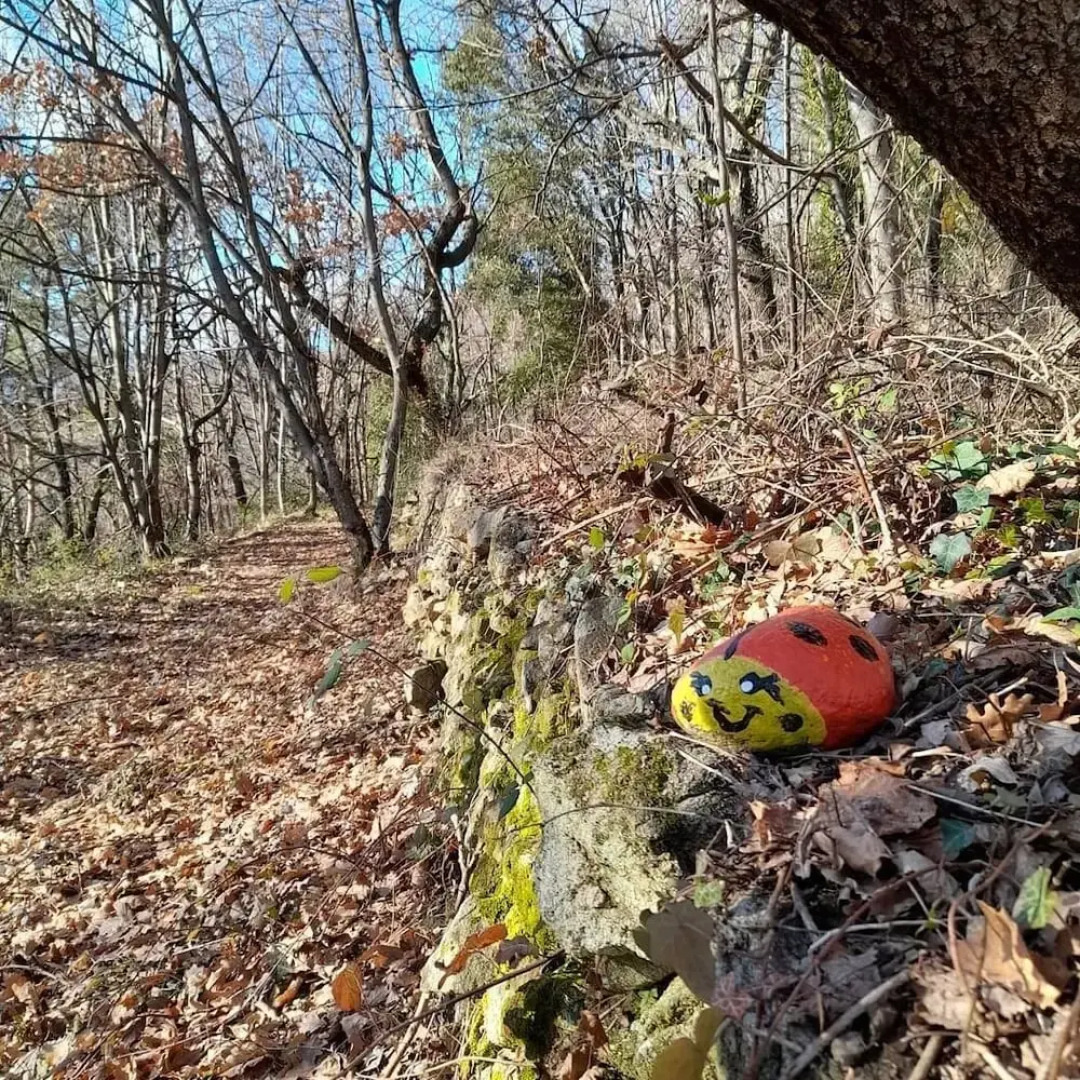 Loft With Panoramic Terrace