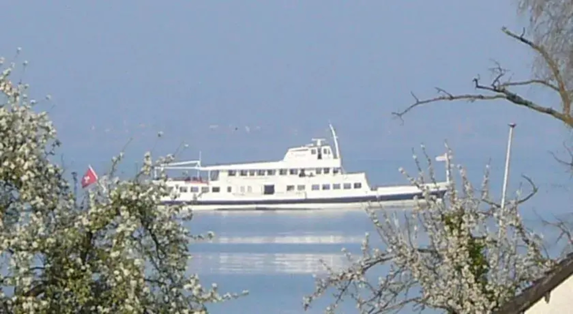 Renis Oase am Bodensee