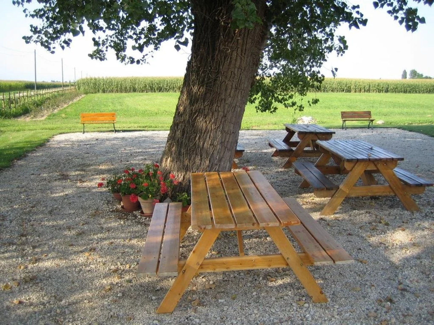 Agriturismo Gallo Nero
