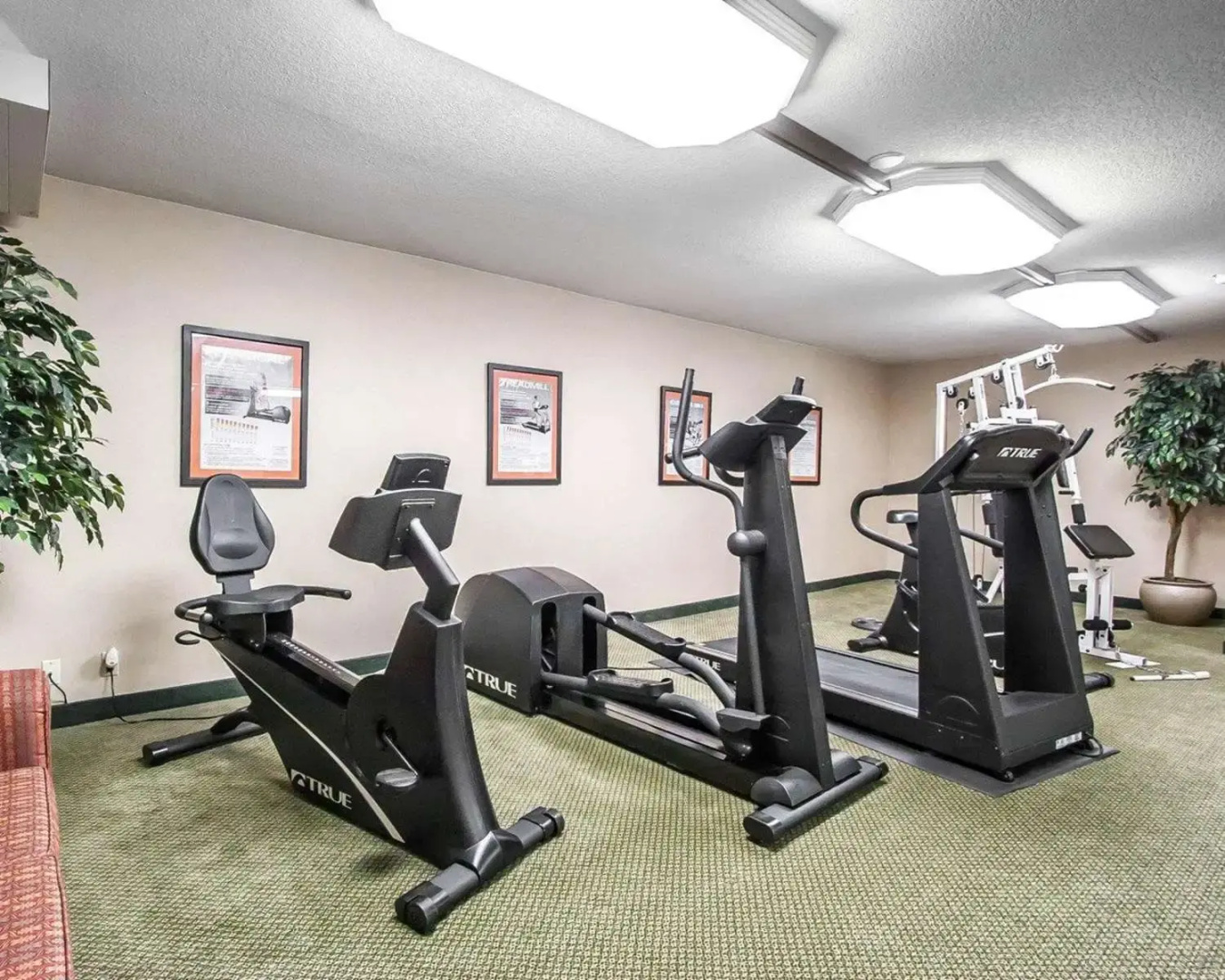 Quality Inn and Suites