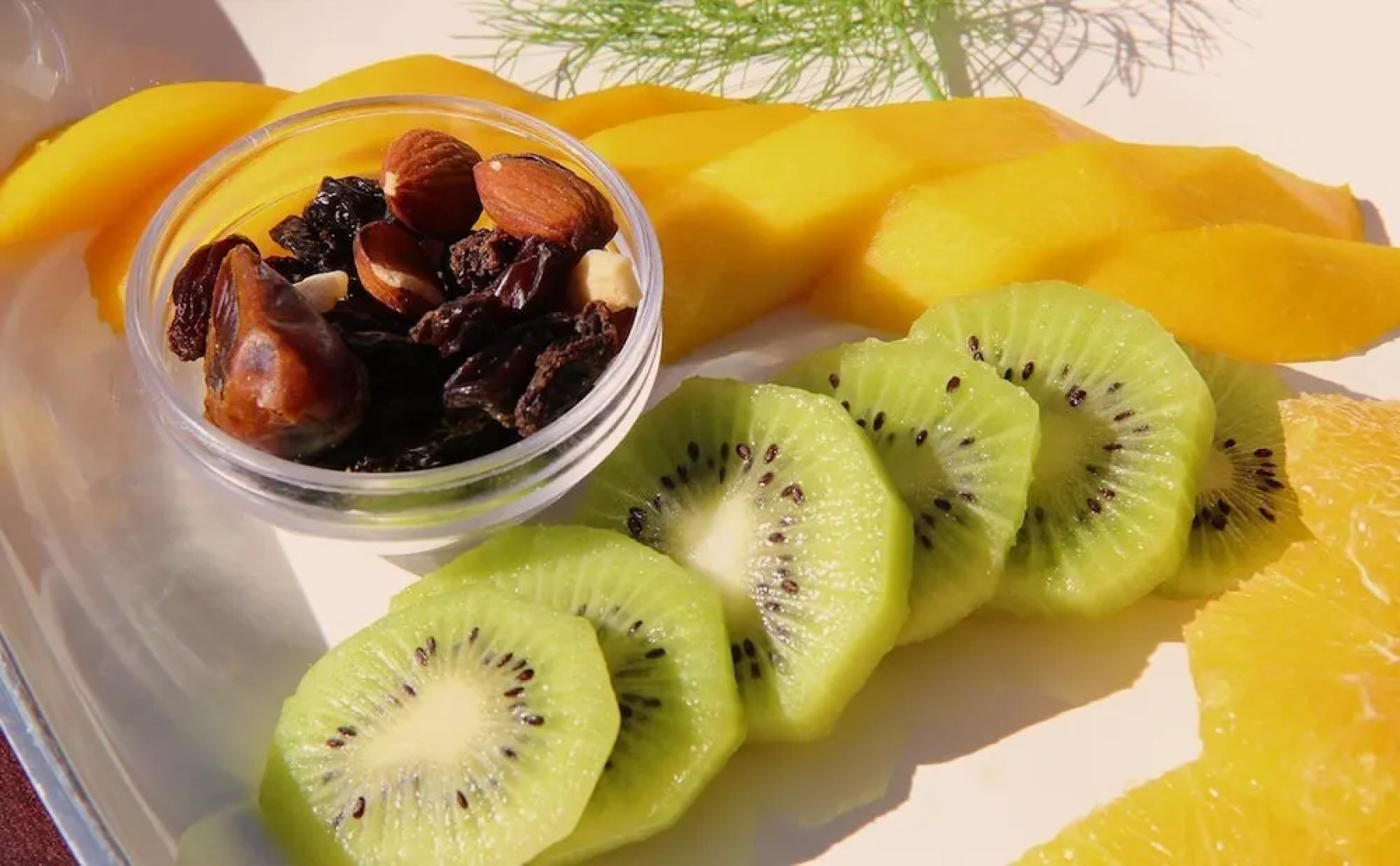 Lumley's Place Guest House