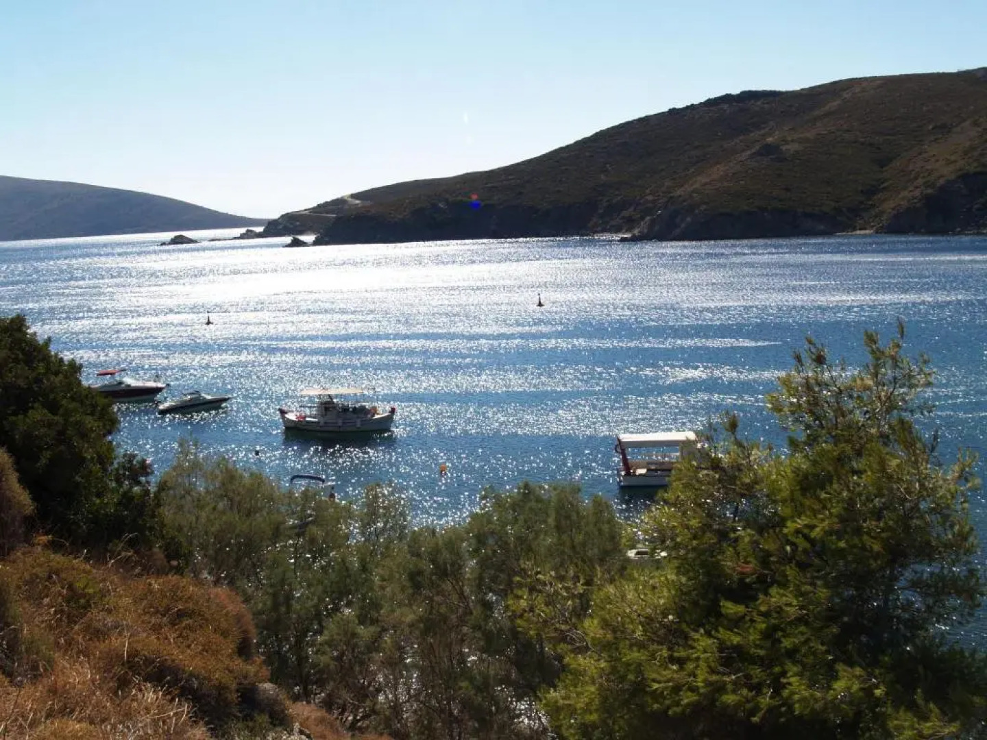 Pegasus Studios & Apartments