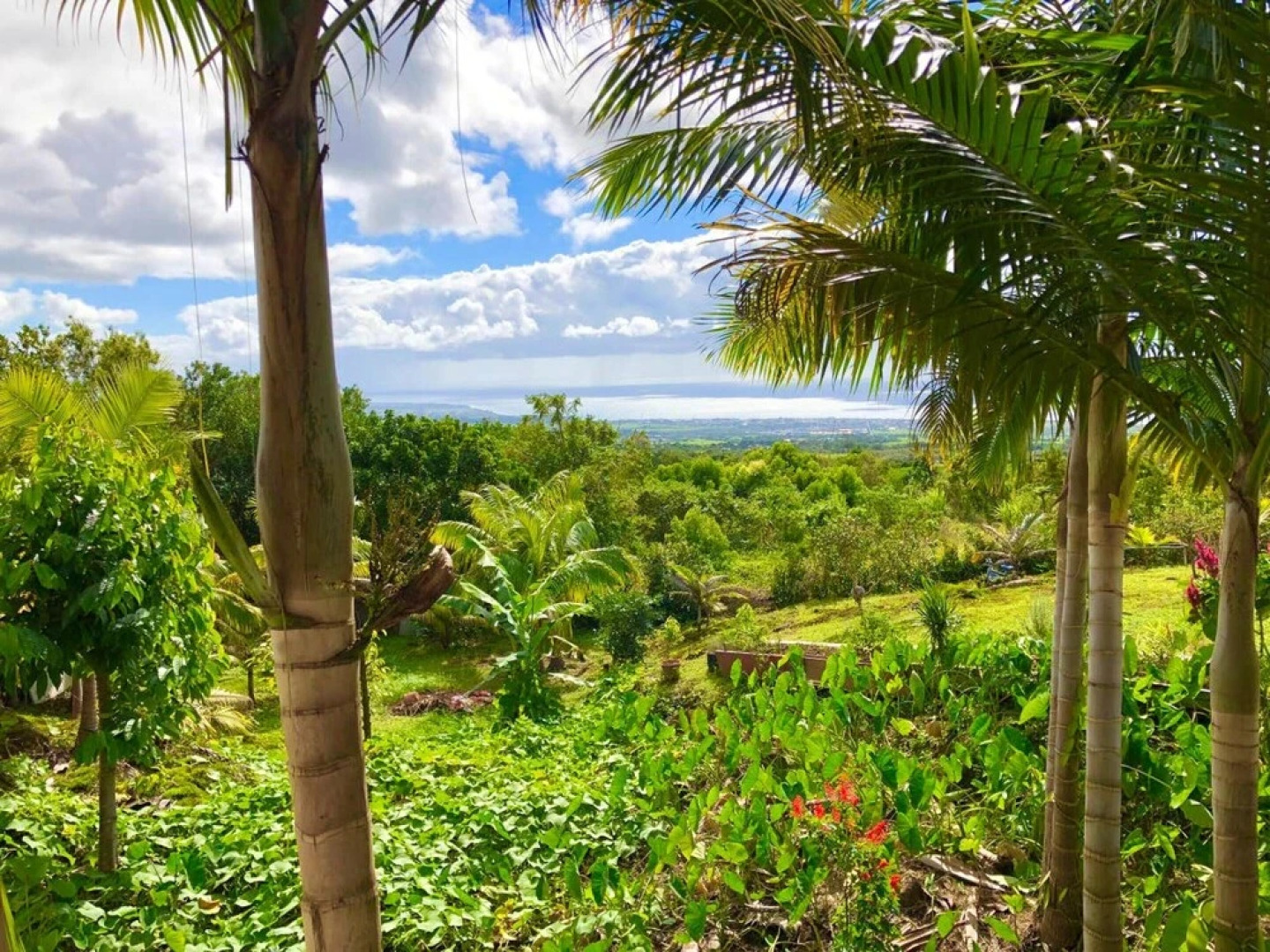 House With 2 Bedrooms in Saint benoît, With Wonderful sea View and Enclosed Garden