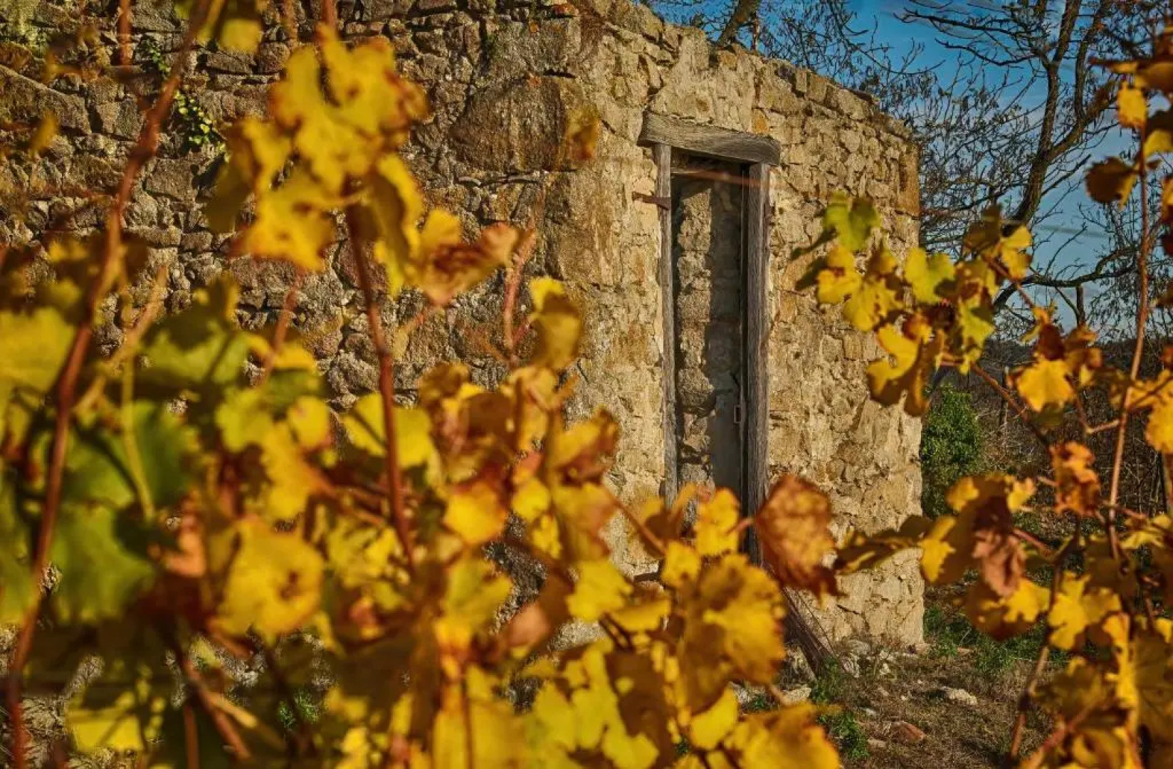 CONDRIEU T3 Climatisé 2ème étage