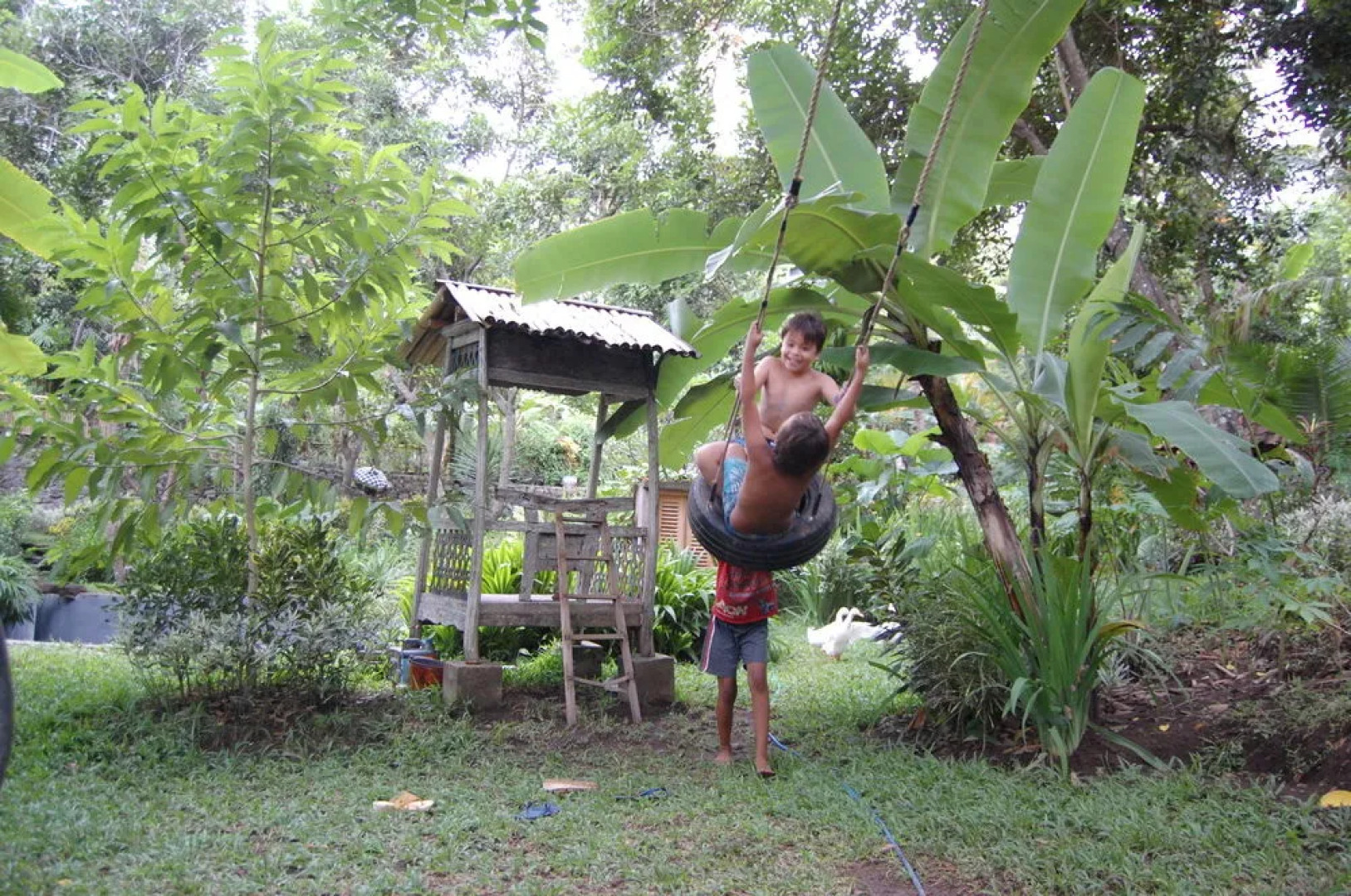 Indo Rumah Zengarden