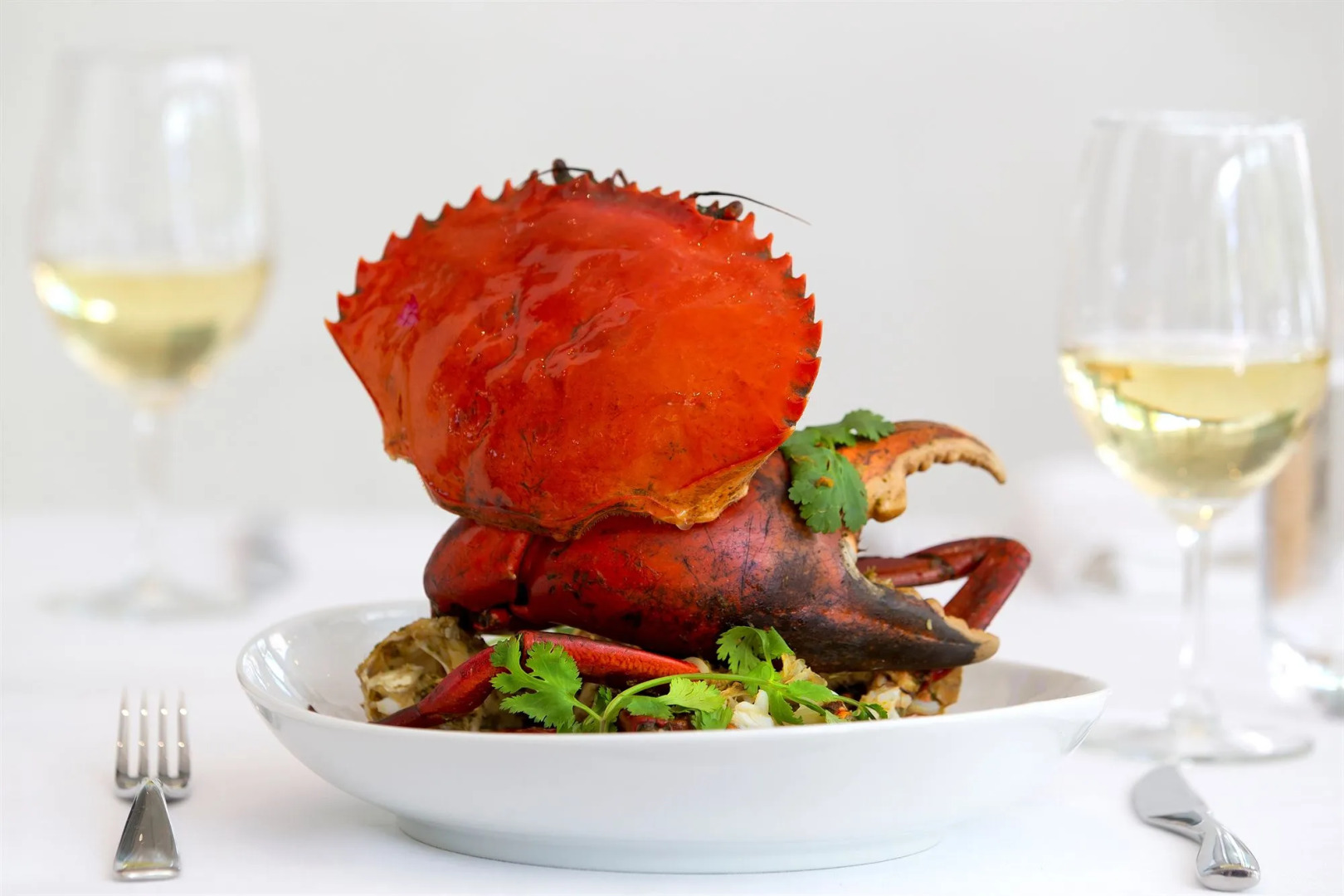 Sofitel Noosa Pacific Resort