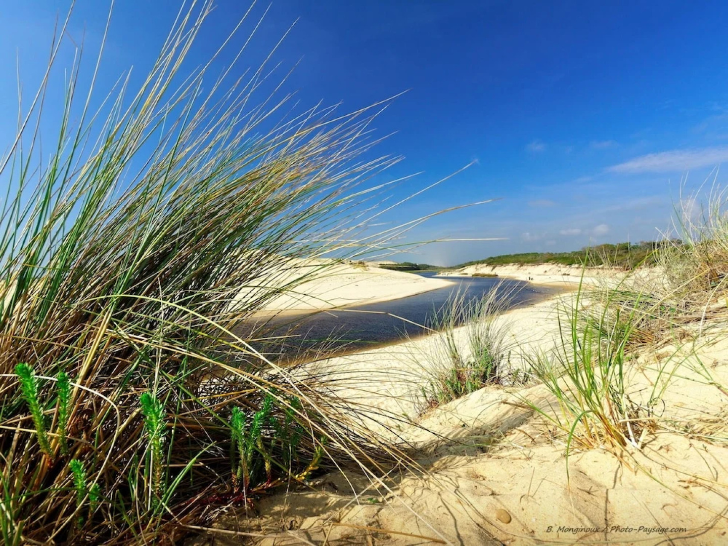 Lovely Apartment With Swimming Pool, Private Terrace,parking