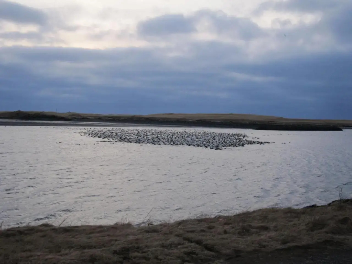 Apartment by the Sea