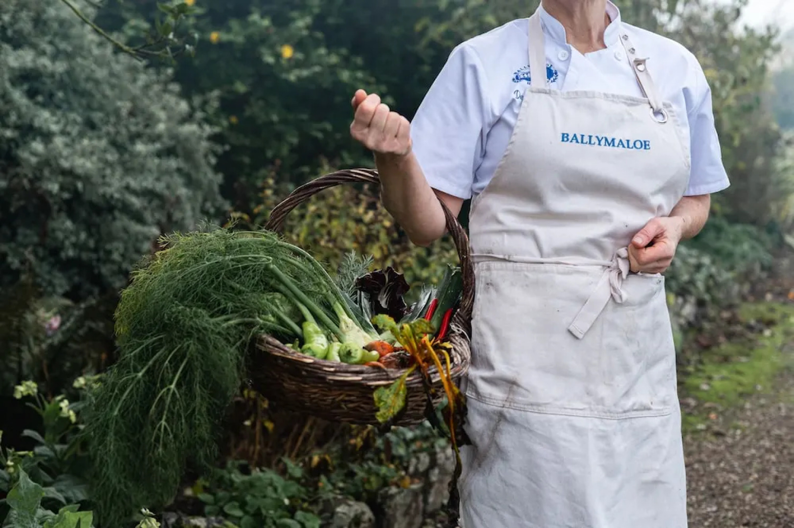 Ballymaloe House Hotel