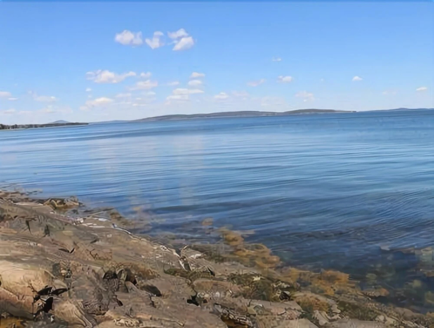 Barnacle on Flye Point - Three Bedroom Home