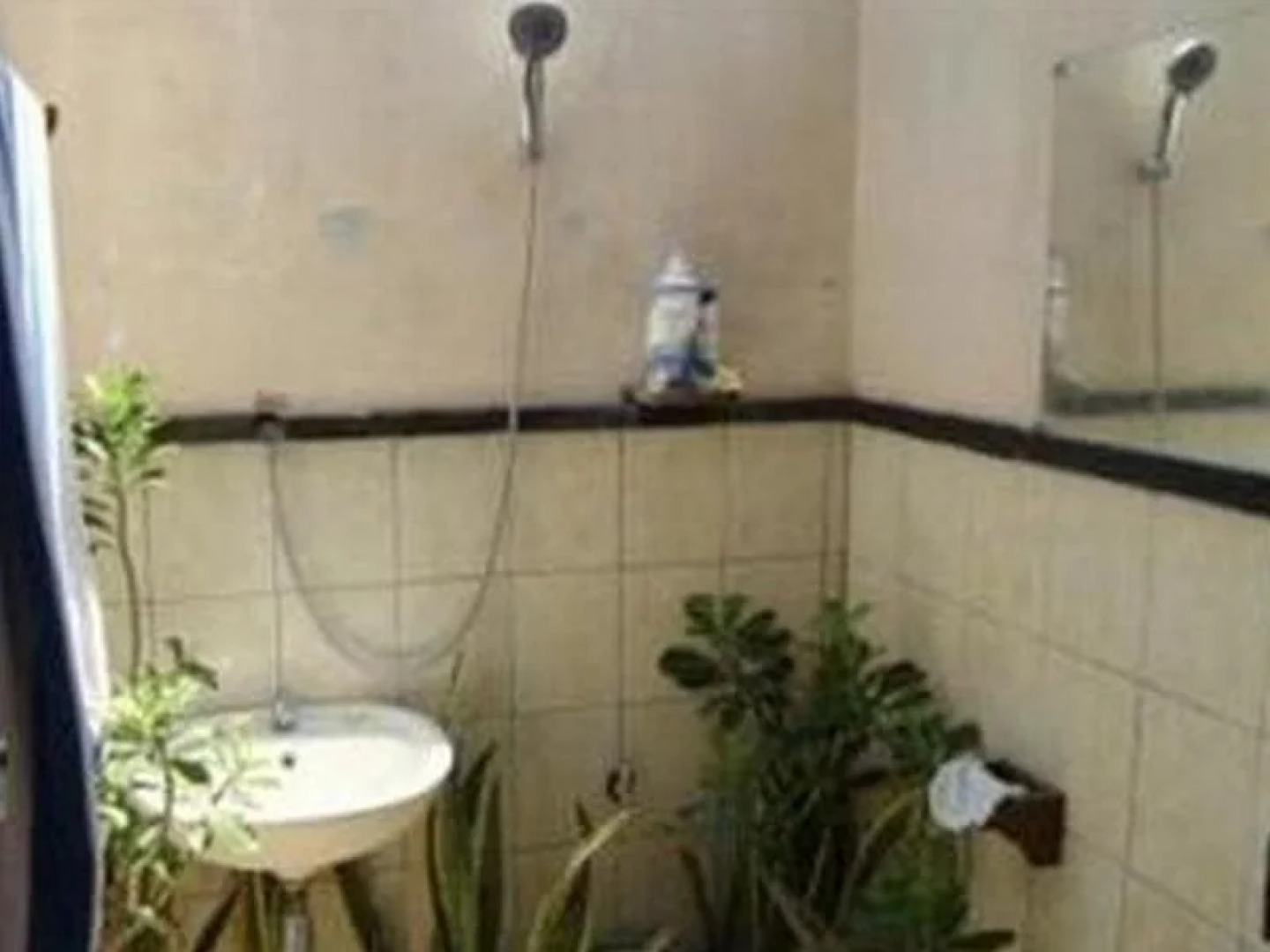 Hide Homestay Menjangan