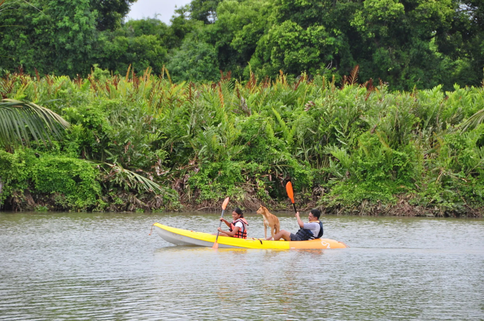 Back of beyond -  Wellness Retreat