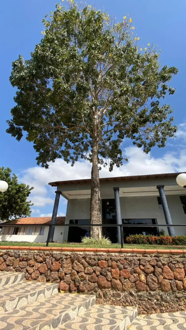 Toddes Exclusive Resort