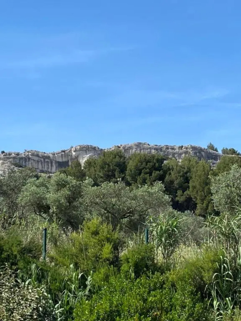 Appartement Paradou cadre splendide