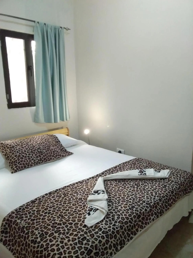 Real Owl Guest House
