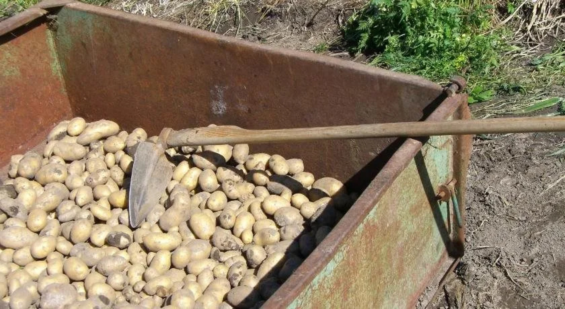 Apart Bauernhof Rosenhof