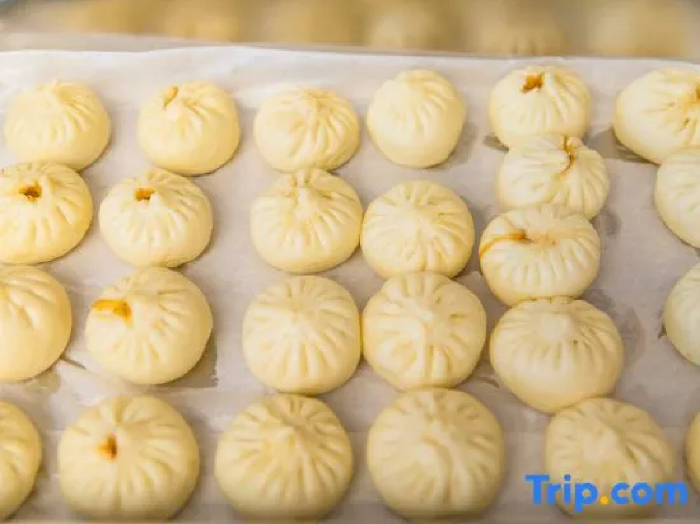 Vienna International Hotel