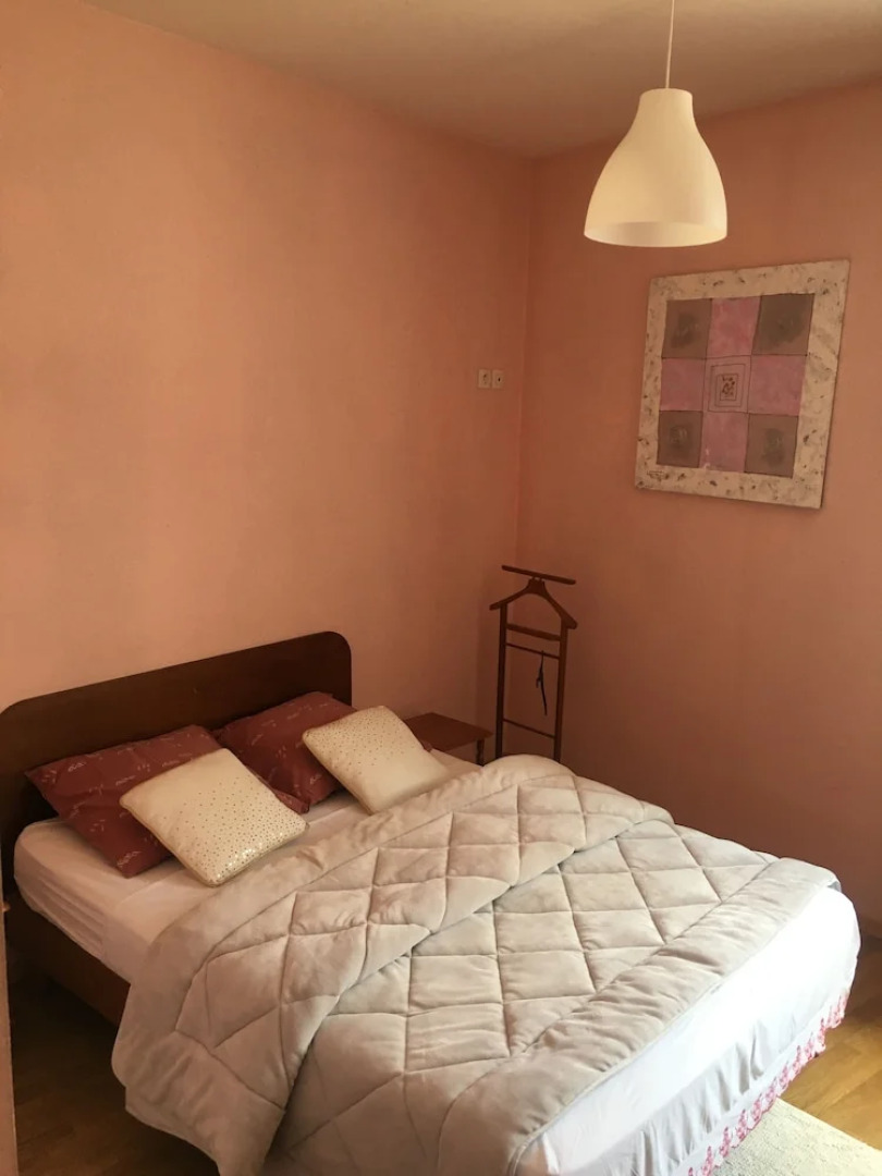 Le Palmyre Soleil de l'Amazonie