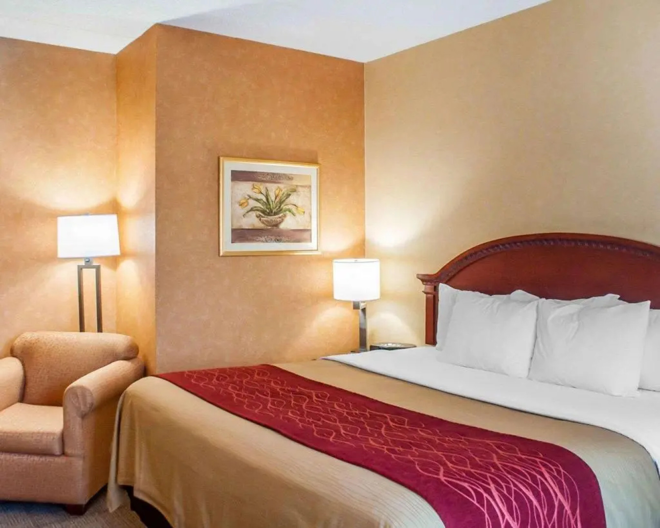 Comfort Inn Near Walden Galleria Mall- Cheektowaga