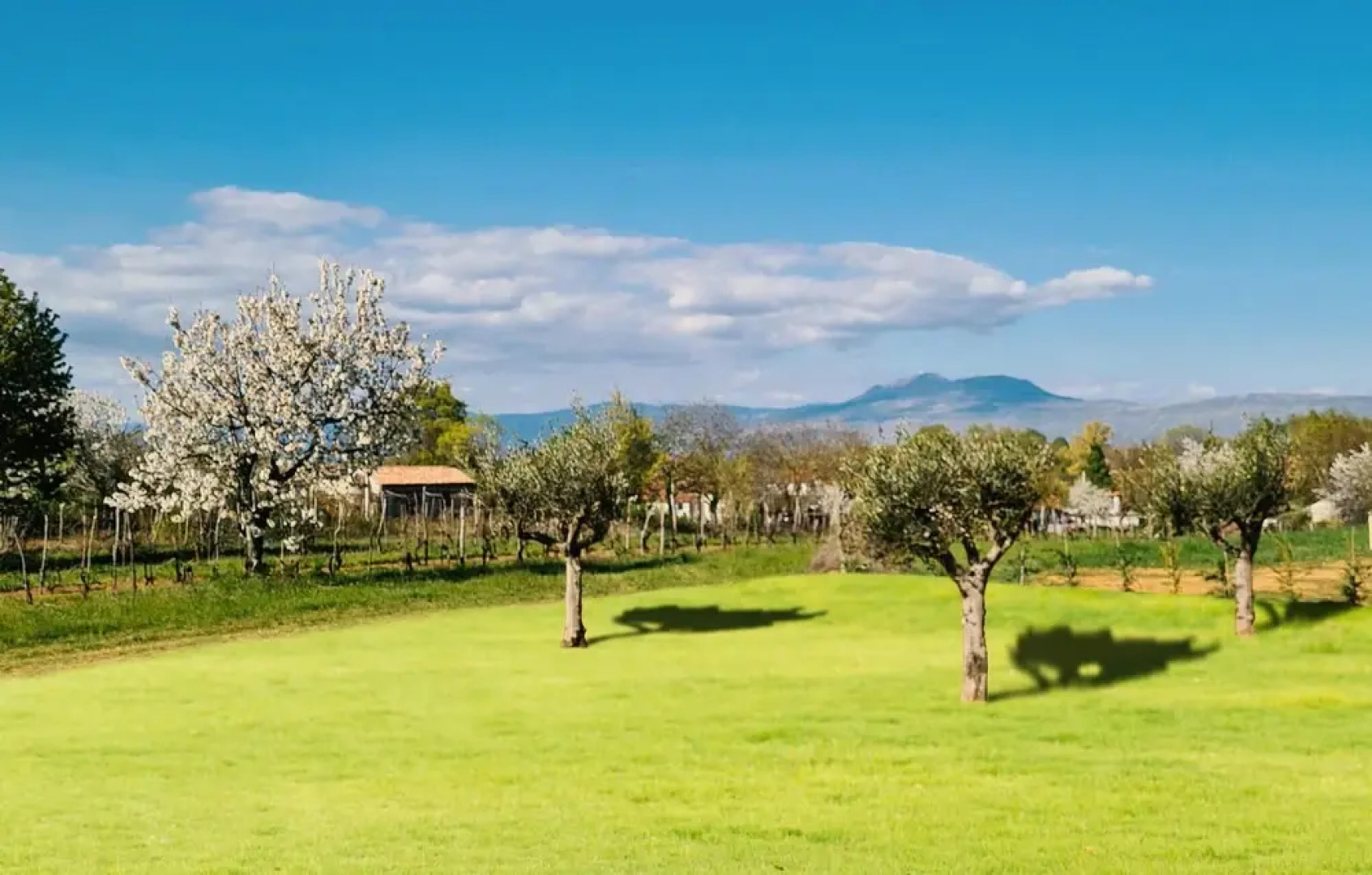 Stunning Home in Nedescina With Outdoor Swimming Pool, Wifi and 2 Bedrooms