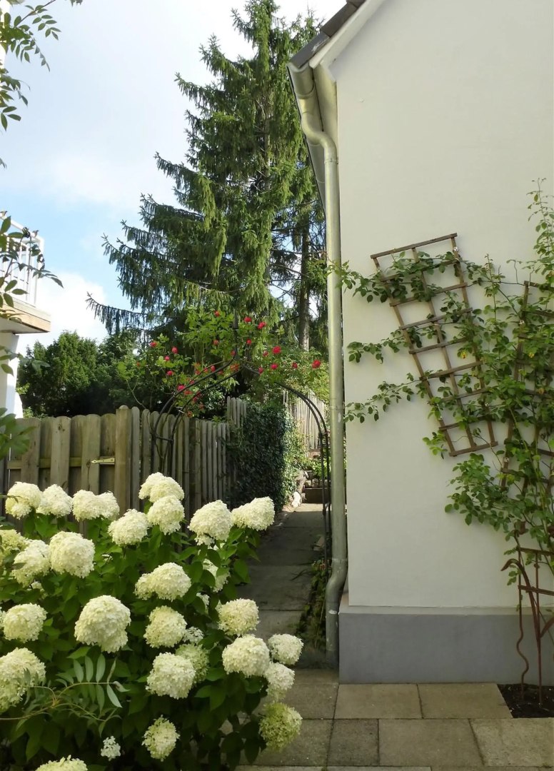 Schwalbennest