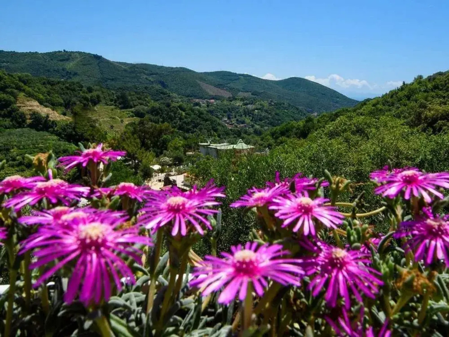 Tenuta dei Normanni - Hospitality