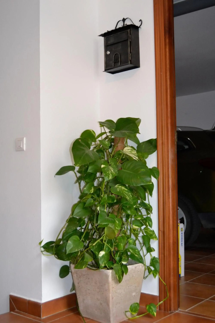 Casa Quercus con piscina privada