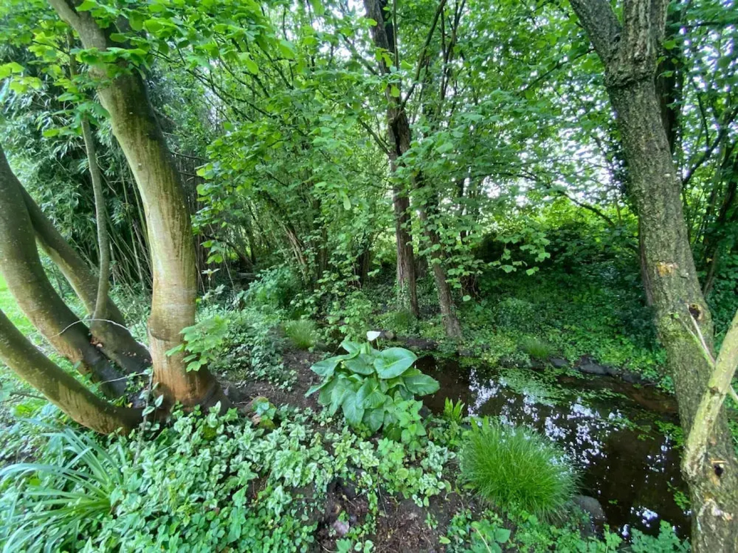 Charming Farmhouse Near the bay of Mont St Michel