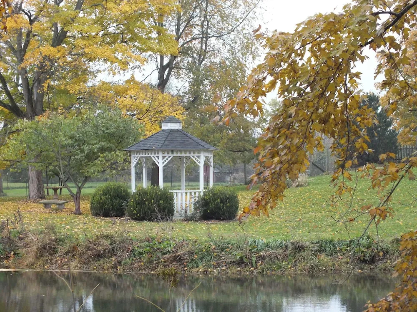 Montrose Farms Alpaca Ranch